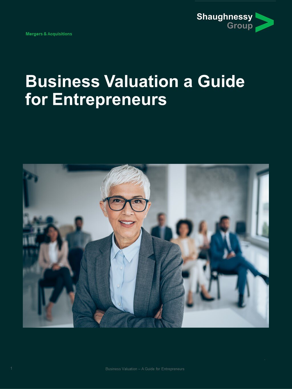 2022.03.26TSGBusinessValuationGuideV1.3